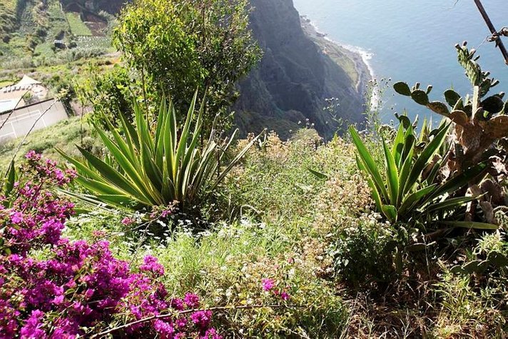 MATKA - Löytöretkeilijöiden vanavedessä isolla merellä Madeira ja Azorit MATKA - Löytöretkeilijöiden vanavedessä isolla merellä Madeira ja Azorit