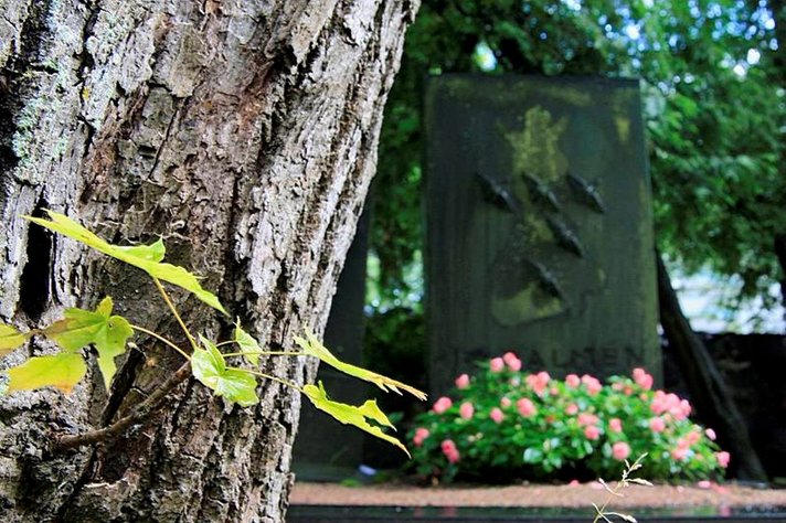 Yleistä - Laadi perintötodistus, jos omaisuuttasi on<br />
monessa maassa Yleistä - Laadi perintötodistus, jos omaisuuttasi on<br />
monessa maassa