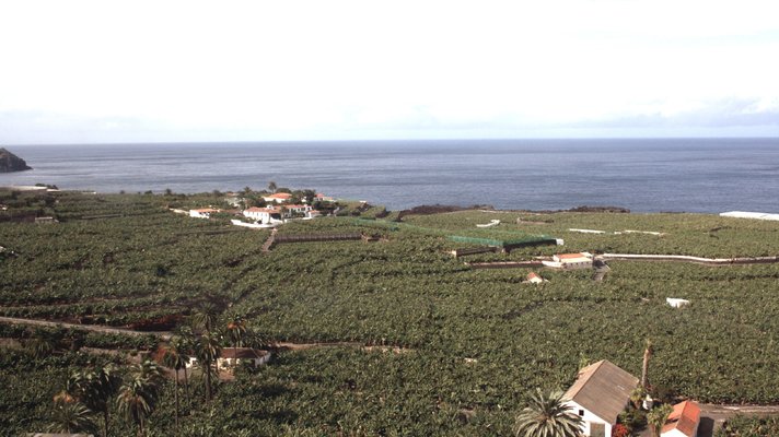 Teneriffa - Maaginen traakkipuu Icod de los Vinosissa kiehtoo yhä Teneriffa - Maaginen traakkipuu Icod de los Vinosissa kiehtoo yhä