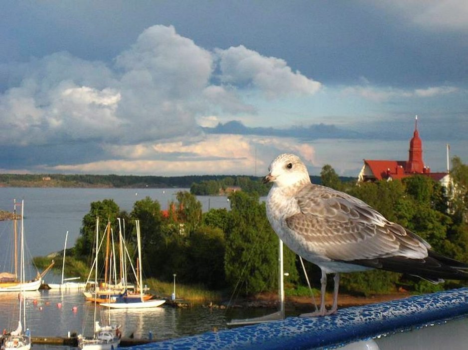 Tallink Silja ja<br />
JYP yhteistyöhön Tallink Silja ja<br />
JYP yhteistyöhön