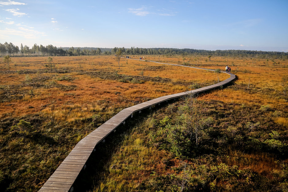 Nemunas Delta. Kuvaaja Julius Kalinskas Nemunas Delta. Kuvaaja Julius Kalinskas