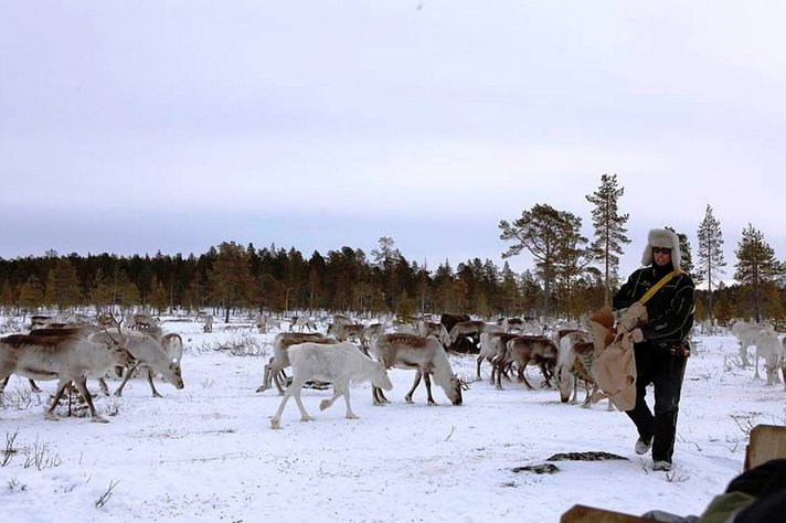 Poromiehen vuosi tietää<br />
huolenpitoa porokarjasta Helsinki Poromiehen vuosi tietää<br />
huolenpitoa porokarjasta Helsinki