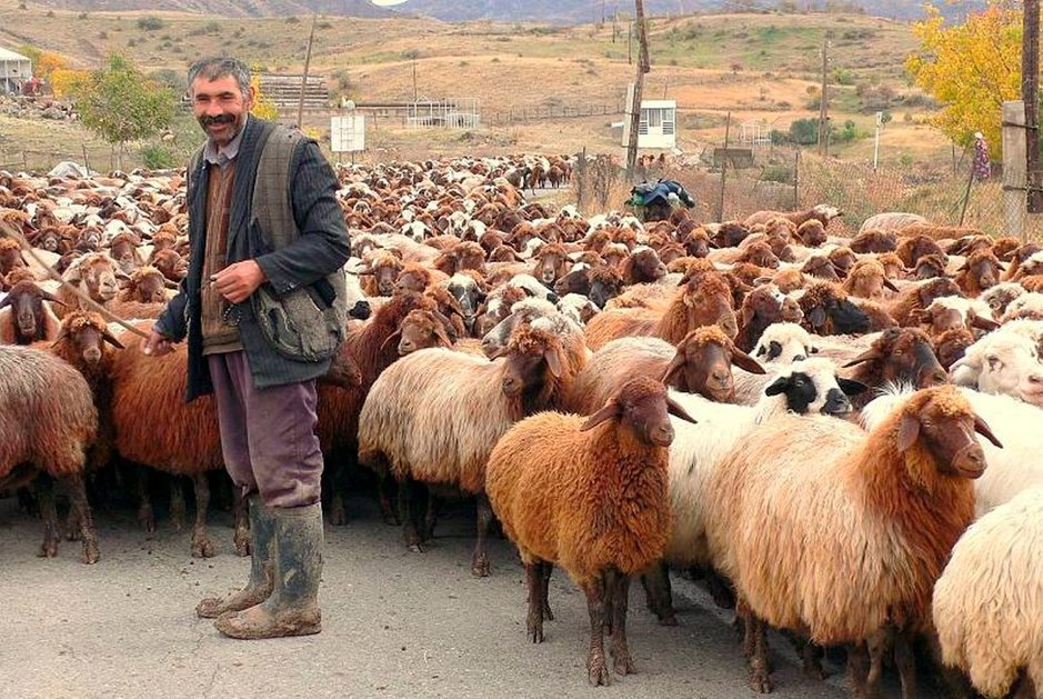 Armenian elinkeinoja ovat muun muassa tietotekniikka ja jalokivien prosessointi. Matkailu on vahvassa nousussa. Osa kansasta elää köyhyydessä, yrittäen hankkia elantonsa maataloudesta. Armenian elinkeinoja ovat muun muassa tietotekniikka ja jalokivien prosessointi. Matkailu on vahvassa nousussa. Osa kansasta elää köyhyydessä, yrittäen hankkia elantonsa maataloudesta.
