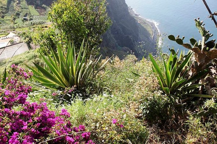 Löytöretkeilijöiden vanavedessä<br />
isolla merellä Madeira ja Azorit Löytöretkeilijöiden vanavedessä<br />
isolla merellä Madeira ja Azorit