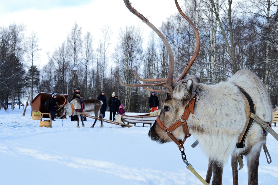 Oulun Nallikarin talvihuvipuisto<br />
avataan ensi lauantaina Oulun Nallikarin talvihuvipuisto<br />
avataan ensi lauantaina