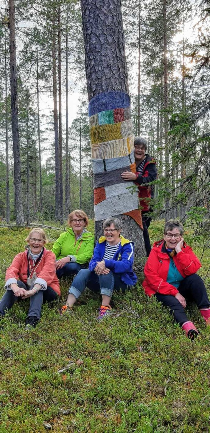 Sallassa avattiin<br />
halipuumetsä Helsinki Sallassa avattiin<br />
halipuumetsä Helsinki