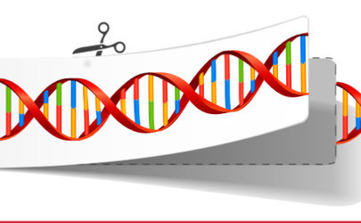 X2 delivers CRISPR-Cas9 components to mammalian cells